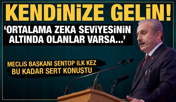 Meclis Başkanı Şentop'tan sert sözler: Herkes kendine gelsin!