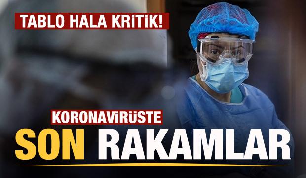Son dakika: 11 Nisan koronavirüs tablosu! Vaka, Hasta, ölü sayısı ve son durum açıklandı