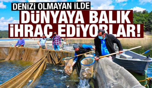 Denizi olmayan Manisa'dan dünyaya balık ihracı