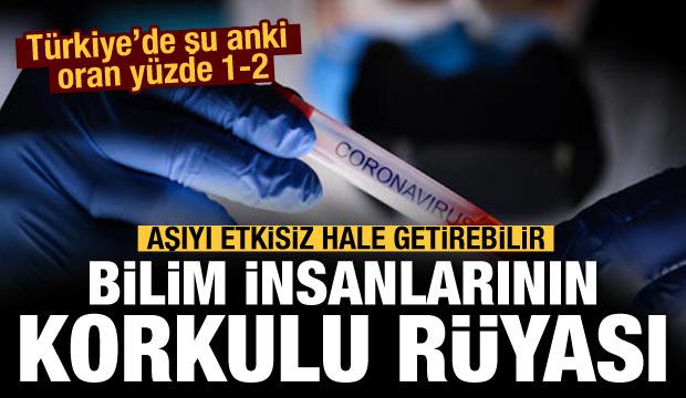 guney afrika varyanti