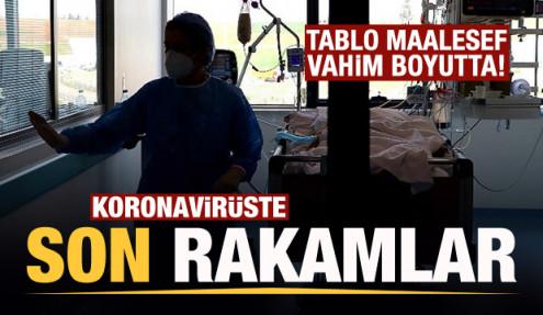 Son dakika: 17 Nisan koronavirüs tablosu! Vaka, Hasta, ölü sayısı ve son durum açıklandı