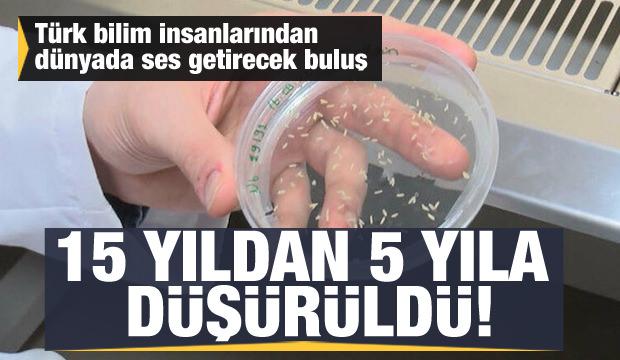 aydin da pitbull dehseti kimse bir sey