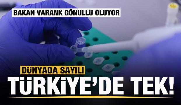 Türkiye'de tek! Bakan Varank yerli aşı için gönüllü oluyor
