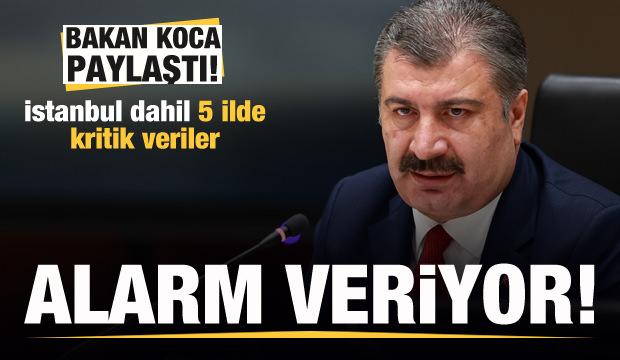Bakan Koca paylaştı! İstanbul dahil 5 ilde kritik veriler! Alarm veriyor