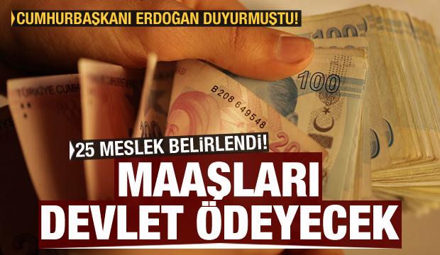 25 meslek belirlendi, ücretlerini devlet ödeyecek! Başkan Erdoğan açıklamıştı - Vimarsana News
