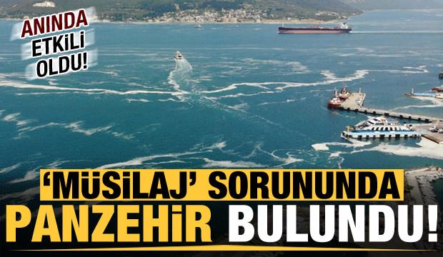 Son dakika: Müsilajın 'panzehiri' bulundu! Anında etkili oldu