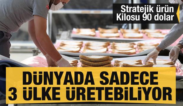 Türkiye bu alanda dünyadaki üç ülkeden biri! İhracat değeri 90 dolar