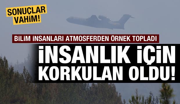 Ve insanlık için korkulan oldu: Ormanlar artık fonksiyonunu yerine getiremiyor! - Vimarsana News