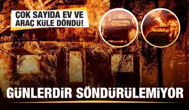 Günlerdir söndürülemiyor! Çok sayıda ev küle döndü