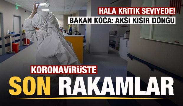 Son dakika: 21 Temmuz koronavirüs tablosu! Vaka, Hasta, ölü sayısı ve son durum açıklandı