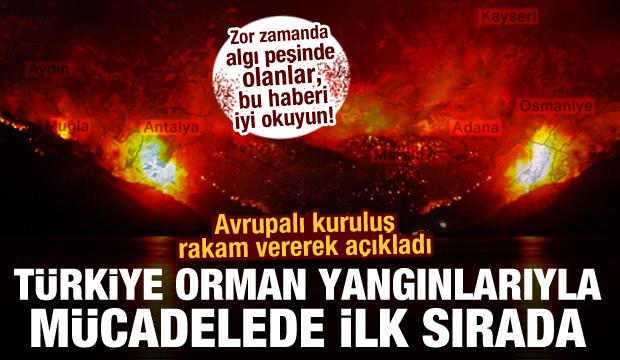 EFFIS raporu: Türkiye orman yangınlarıyla mücadelede ilk sırada