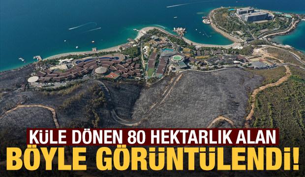 Milas'taki yangında zarar gören 80 hektarlık ormanlık alan havadan görüntülendi