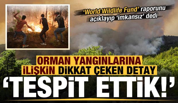 Son dakika: Orman yangınlarına ilişkin dikkat çeken detay! 'Tespit ettik...' - Vimarsana News