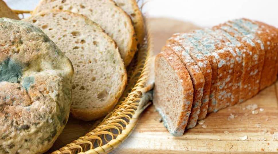 Ramazanda ekmeğin k&uuml;flenmesi nasıl &ouml;nlenir? Ekmeğin bayatlayıp k&uuml;flenmesini &ouml;nlemenin yolları