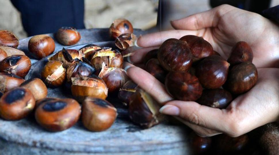 Gerçek kestane nasıl anlaşılır? Çin kestanesine dikkat! Pişince köpürüyorsa sakın tüketmeyin