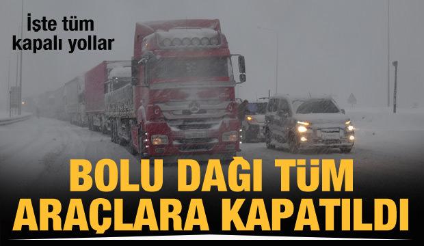Anadolu Otoyolu ve D-100 yolu trafiğe kapatıldı