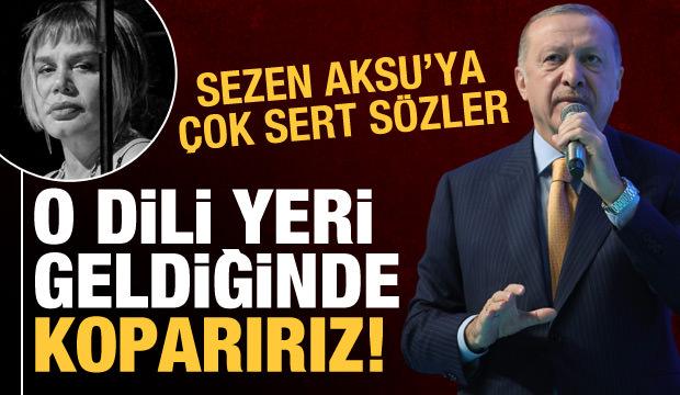 Erdoğan'dan Omicron varyantı ve Sezen Aksu'nun şarkısına ilişkin önemli açıklamalar