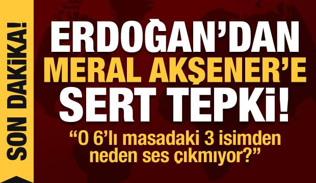 Erdoğan'dan Meral Akşener'e sert tepki: O 6'lı masadaki 3 isimden neden ses çıkmıyor?