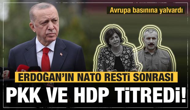 Erdoğan'ın NATO resti sonrası PKK, Norveç basınında yalvardı