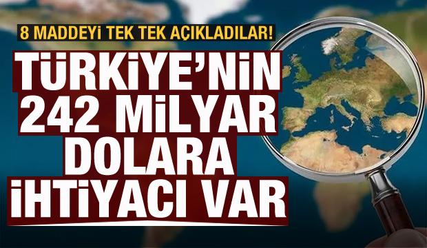 Kritik rapor açıklandı: Türkiye'nin 242 milyar dolara ihtiyacı var