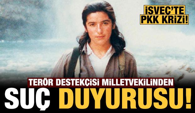 Terör örgütü PKK/YPG destekçisi milletvekilinden, İsveçli Bakan hakkında suç duyurusu