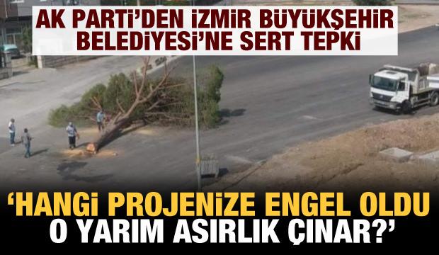 AK Parti'den İzmir Büyükşehir Belediyesine "ağaç kesme" tepkisi