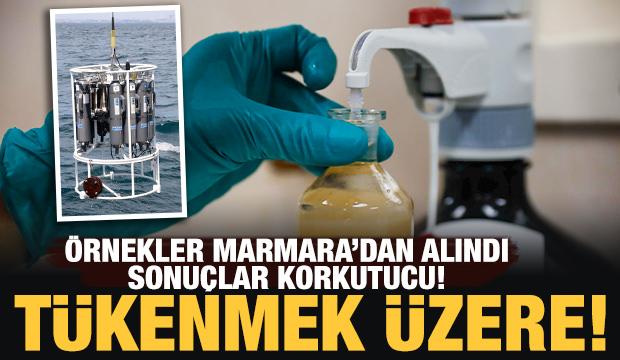 TÜBİTAK gemisi Marmara'ya açıldı; korkutucu sonuç tespit edildi