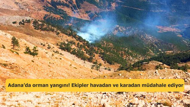 Adana’da orman yangını! Ekipler havadan ve karadan müdahale ediyor