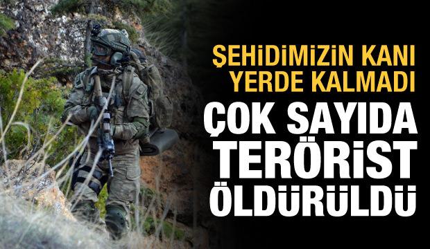PKK'ya üst üste darbe: 10 terörist etkisiz hale getirildi