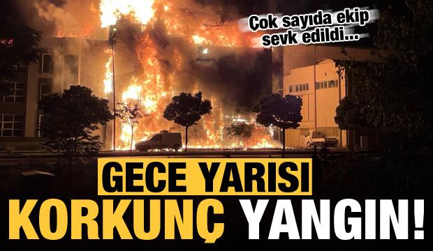 Bursa'da et ürünleri tesisinde yangın