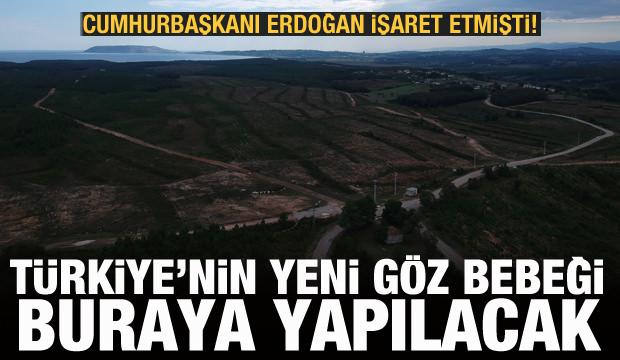 Erdoğan işaret etmişti! Sinop NGS bölgesi havadan görüntülendi