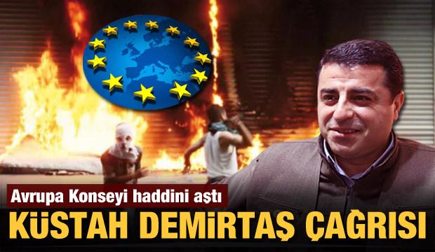 Avrupa Konseyi'nden Türkiye'ye küstah Selahattin Demirtaş çağrısı