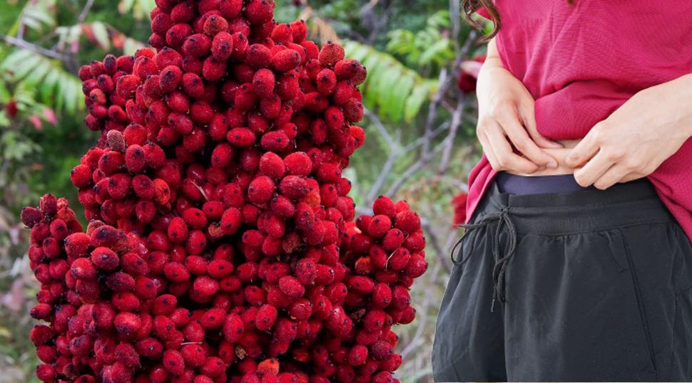 Bu tarif bayram kilolarına savaş a&ccedil;ıyor! 2 hafta i&ccedil;inde karın yağlarını yok ediyor