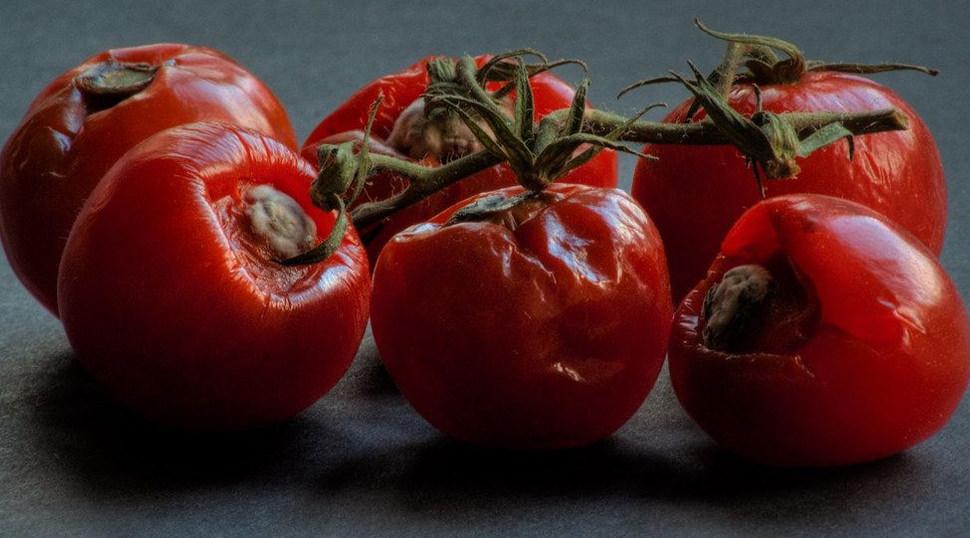 Çürüyen domatesleri sakın çöpe atmayın! Öyle bir işe yarıyor ki