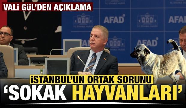 İstanbul Valisi: "İstanbul'un ortak sorunu, sokak hayvanları"