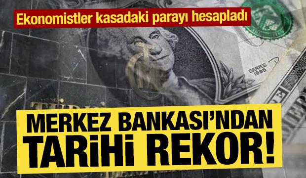 Merkez Bankası'nın rezervlerinde tarihi rekor