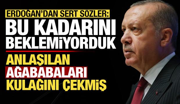 Erdoğan'dan sert sözler: Bu kadarını beklemiyorduk, anlaşılan ağababaları kulağını çekmiş!