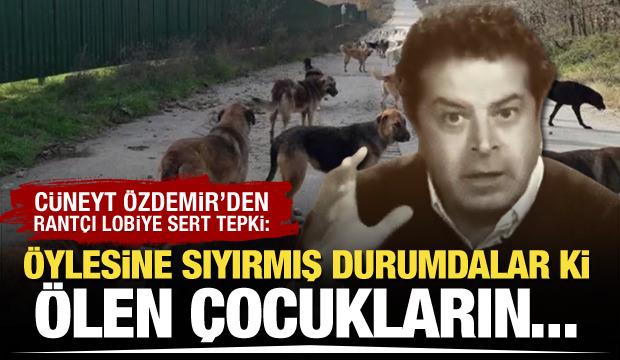 Cüneyt Özdemir başıboş sokak köpeği çoğaltma lobisini ifşa etti