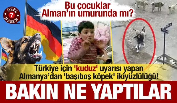 Türkiye için 'kuduz' uyarısı yapan Almanya’dan 'köpek' ikiyüzlülüğü! Bakın ne yaptılar