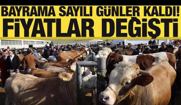 Kurbanlıklarda fiyatlar değişti