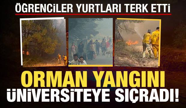 Bursa'da anız yangını: Üniversiteye sıçradı, öğrenciler valizleriyle bölgeyi terk etti!