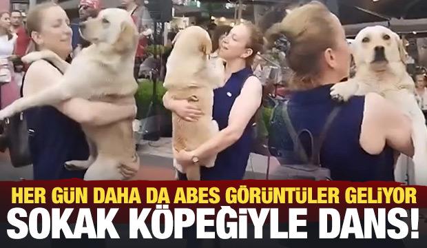 Trabzon'da ilginç görüntü: Sokak köpeğiyle dans etti