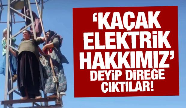 'Kaçak elektrik hakkımız' deyip direğe çıktılar