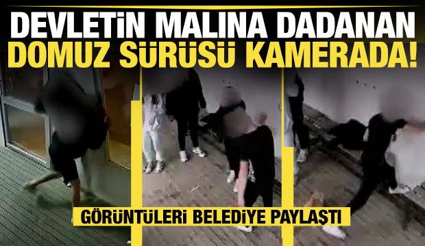 Otobüs durağına zarar verdiler, belediye o anları sosyal medyada paylaştı