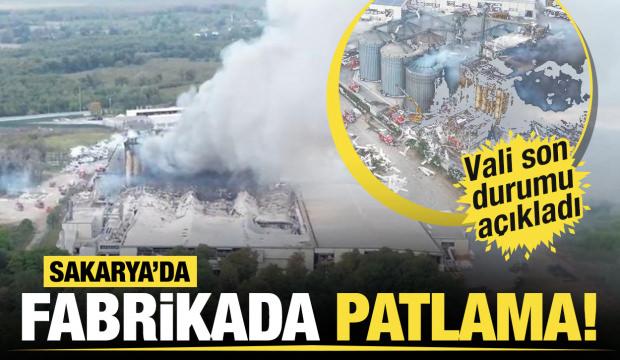 Son dakika... Hendek ilçesinde fabrikada patlama!