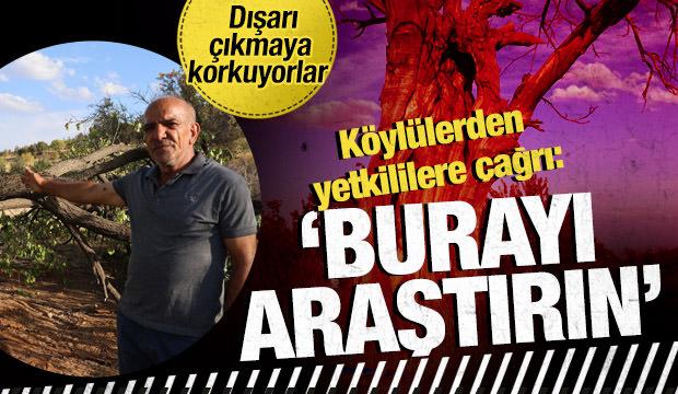 Elazığ’ın bu köyünde vatandaşlar yağmurlu havada dışarı çıkmaya korkuyor