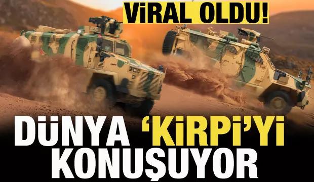 Dünya Kirpi'yi konuşuyor! Videosu viral oldu