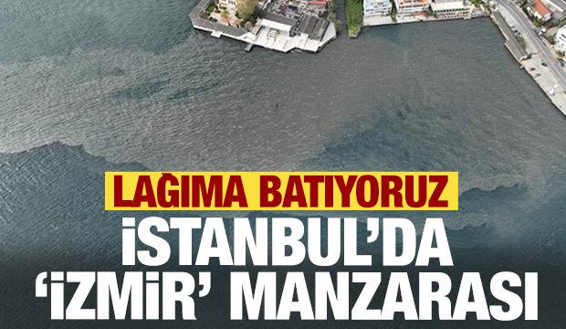 İstanbul Boğazı'na lağım akıyor!