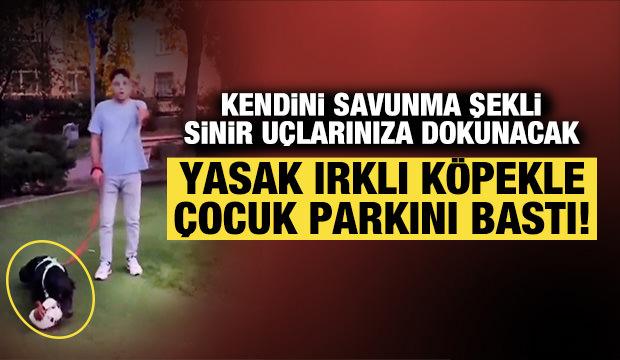 Parkta oynayan çocukların topunu köpeğine parçalattı!