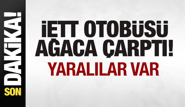 İETT otobüsü ağaca çarptı! Yaralılar var